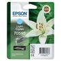 EPSON T0595