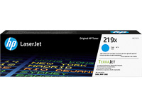 HP W2191X