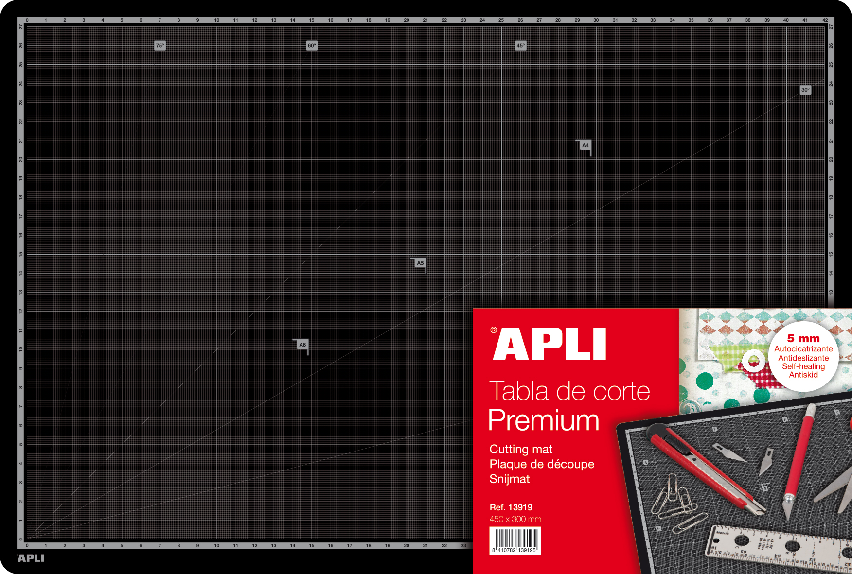 APLI 13919