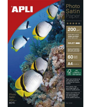 APLI 04136