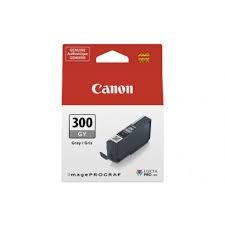 CANON 4200C001  PFI-300GY