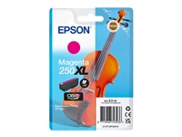 EPSON 250XL / T16P34