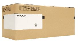 RICOH D202-0124