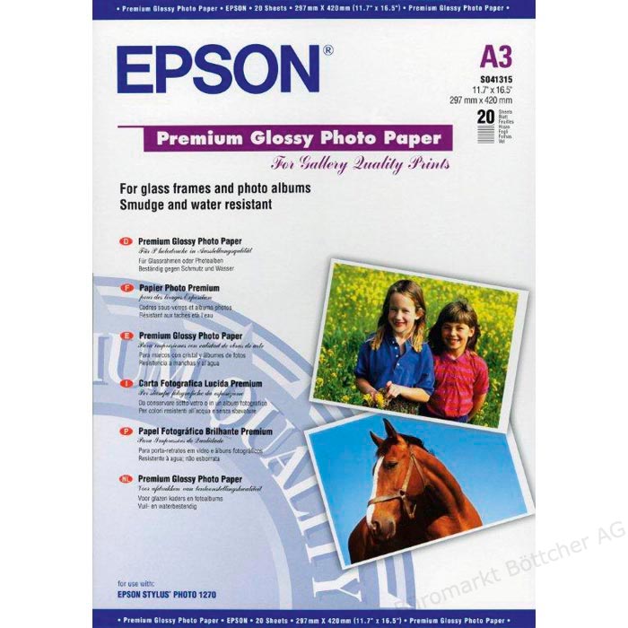 EPSON S041315