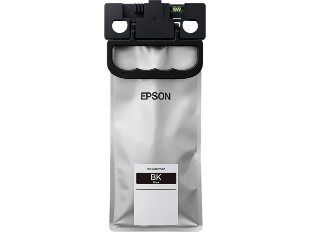EPSON T01C100
