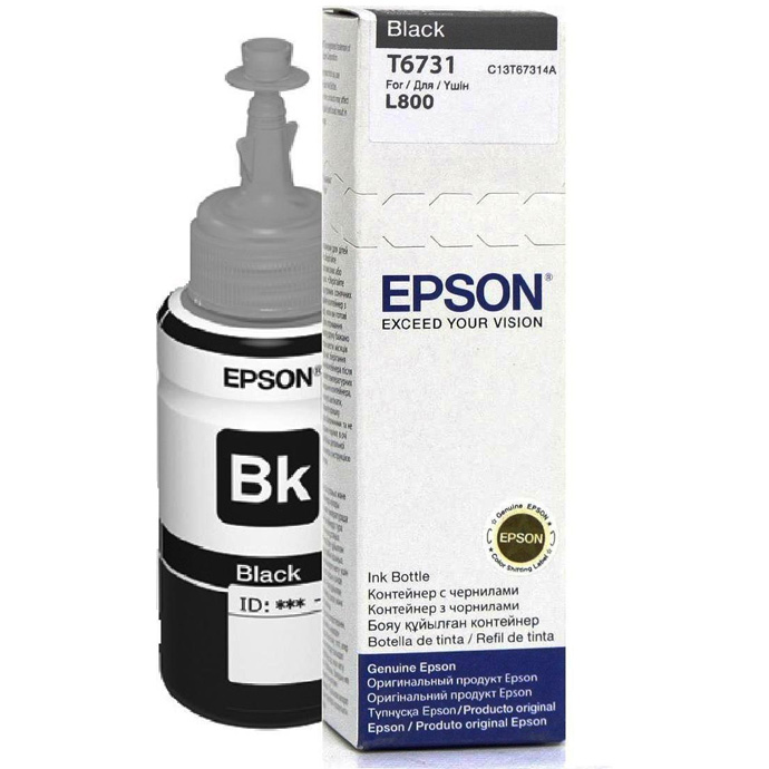 EPSON T6731