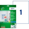 AVERY J8867-5