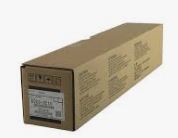 RICOH D2589510