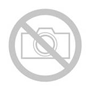 EPSON SJIC4B