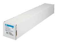 HP Q8751A