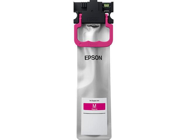 EPSON T01C300