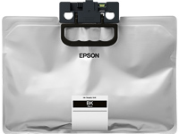 EPSON T01D100