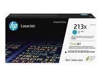 HP W2131X